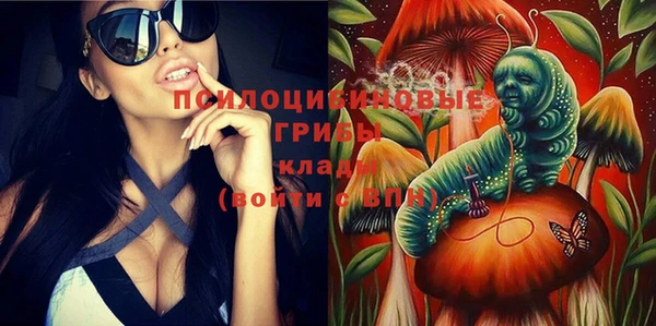 Альфа ПВП Беломорск